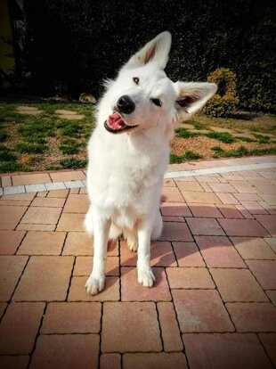 65f25c01-43f3-4d61-8a87-80bdb833ad3b