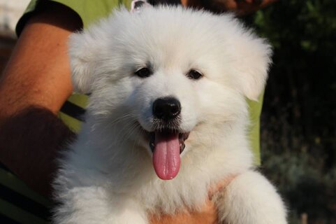 1ec81a10-8814-4d49-ba02-1f03192126c6 1ec81a10-8814-4d49-ba02-1f03192126c6