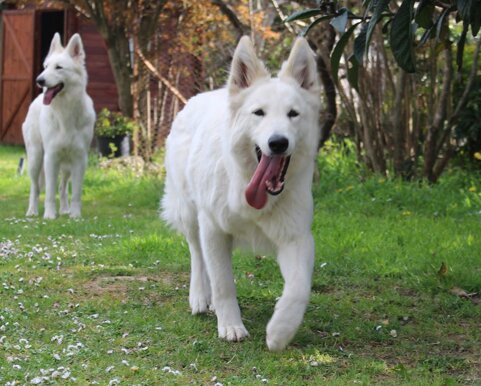 846b6a8b-859f-421a-8027-a557b6cab316