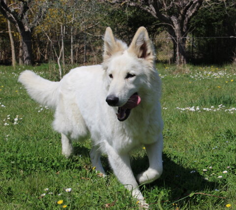 a328fb1b-50ca-48c9-aa61-644d4a7ced79