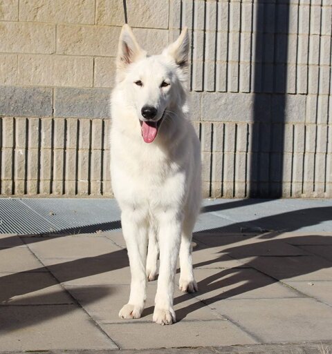 16cd1909-c4d7-4463-88c1-ef33a600f037