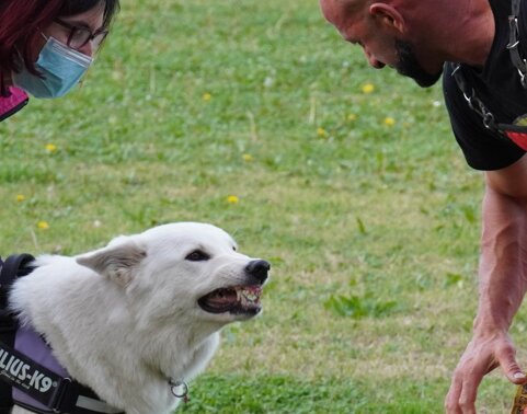 c6aac0b6-7f31-4f36-91ae-c6c1b97c280e c6aac0b6-7f31-4f36-91ae-c6c1b97c280e