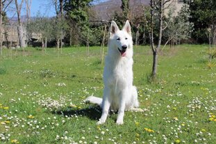 248306ac-98e0-4ac3-bfea-ec45f0b97751