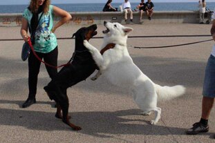 b8e239c1-796d-486b-a5c2-5caa12d49ee3