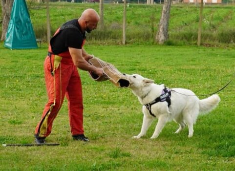 8a1600d1-bab1-455f-b24f-1366f112488d 8a1600d1-bab1-455f-b24f-1366f112488d