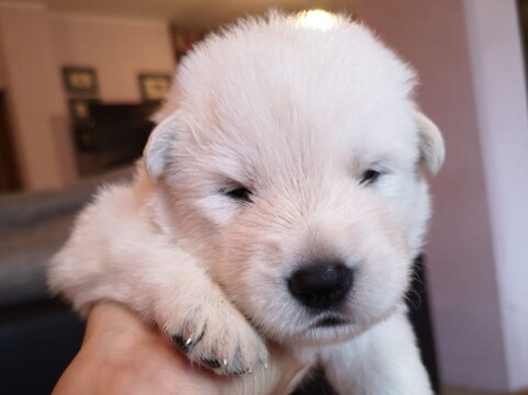 3ca63d46-2631-422f-80e2-c960ed9a3759