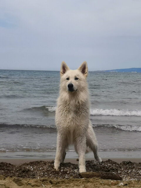 ef1c1d74-be12-47e4-addb-a53f510e0ca0