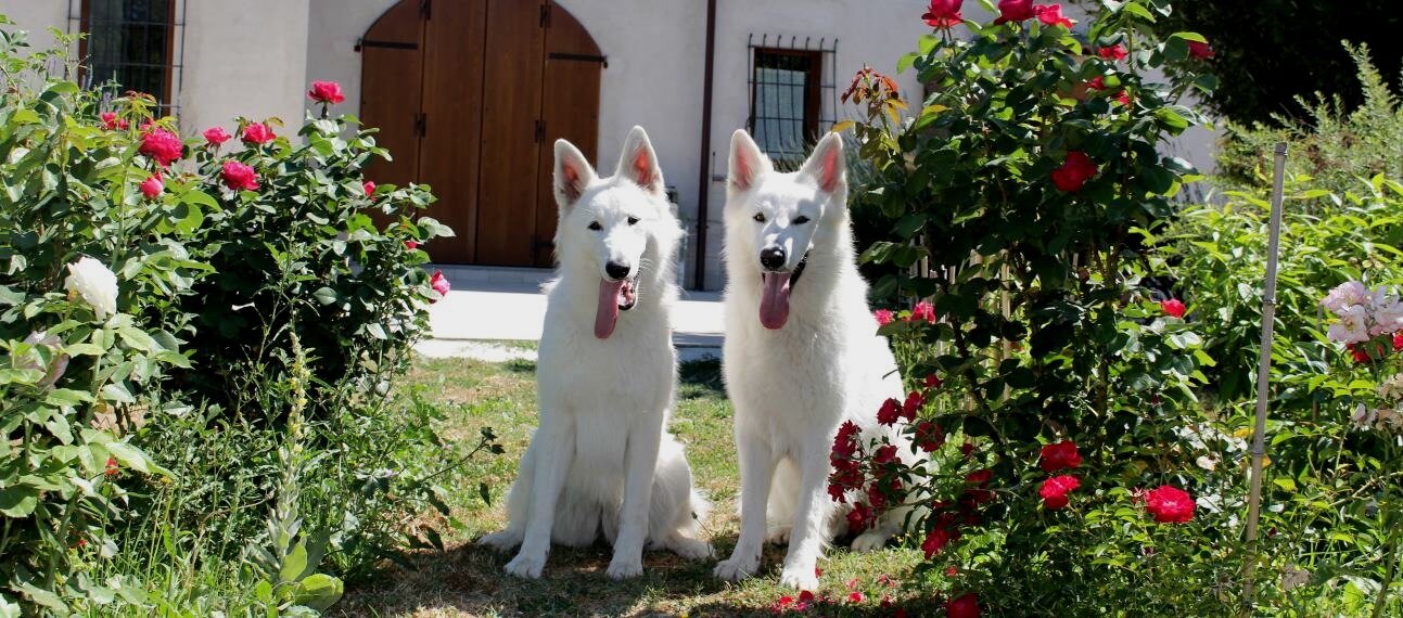 b8ffc9f5-1bb5-4508-b81c-3c94a9cba3b0.jpg b8ffc9f5-1bb5-4508-b81c-3c94a9cba3b0.jpg