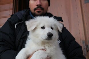 7bc00e06-607e-4b1a-8fc0-747b7d07f083