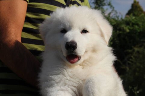 125f27d6-d343-4633-8ae7-112197825566 125f27d6-d343-4633-8ae7-112197825566