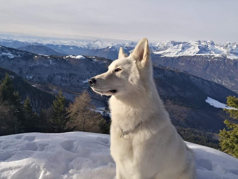 b3bfa464-6bce-456f-b4d3-1d183b0b5c75