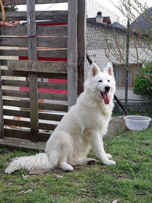 23f4ec9b-52dc-4103-9219-41ca2b3f54cf