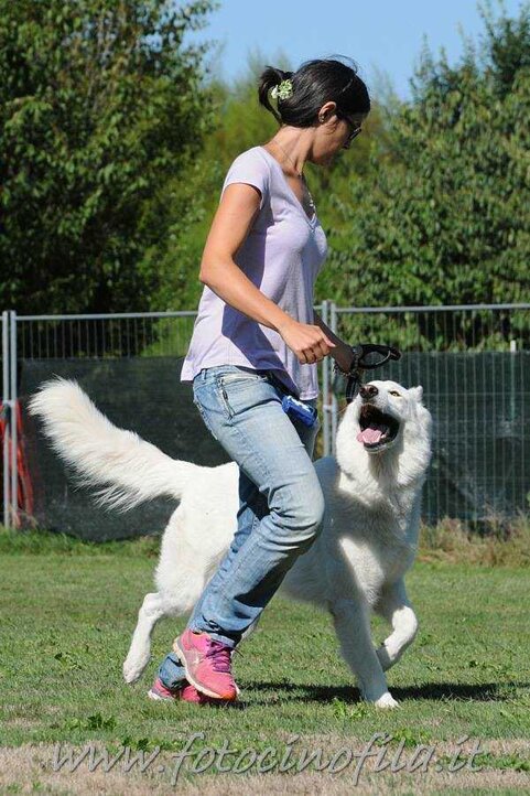 fbd8135f-37a6-4124-b96f-9b4002e03fe0 fbd8135f-37a6-4124-b96f-9b4002e03fe0