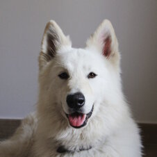 16ed6dd9-5973-483c-b76c-39c3274500ea