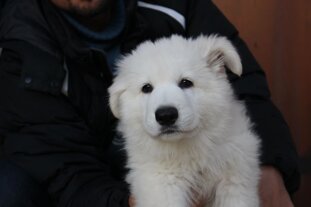 6acb9397-0eda-4a37-8f72-ce4a7bcae2f2