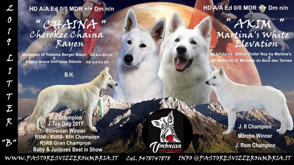 427c1bf5-018f-41c0-842f-b6ab185943e9