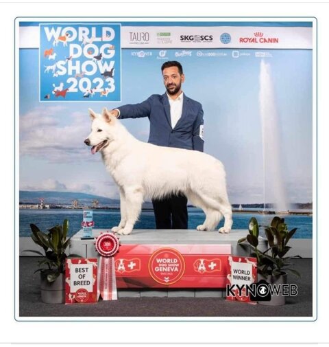 6aa55f87-baad-42f8-8abc-9e67f25d5925