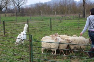 f2720efd-d99a-430b-a3f4-c3203c24c468 f2720efd-d99a-430b-a3f4-c3203c24c468