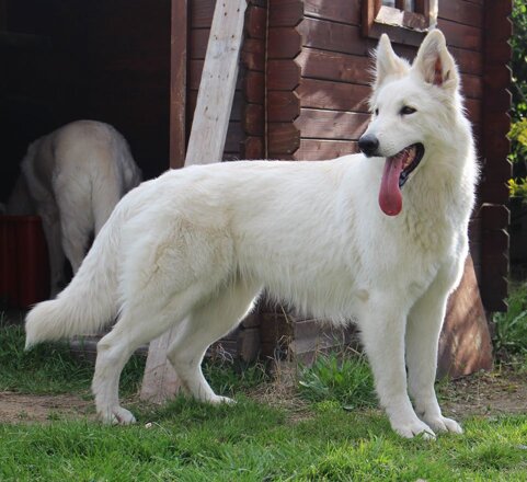 fe7c4a51-0cf4-4883-9531-2dd97be59517