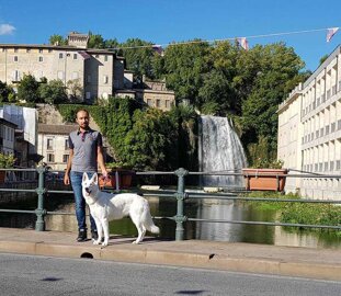 e2af280d-1419-465d-a6a6-be9e007ffd41