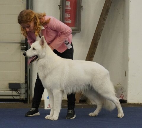 ca25e854-b65e-401e-9671-c002ef1bd667