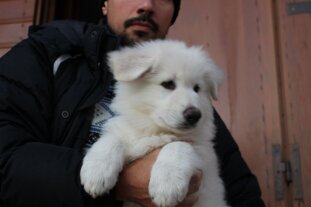 80971a46-a7fc-4dbc-9039-173877ddc9c9