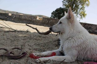 0b9c1744-d3c4-4d49-9044-e2b6a58a633b