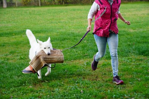 e53dd38c-9d2a-4312-a83b-6d9aef20a439 e53dd38c-9d2a-4312-a83b-6d9aef20a439