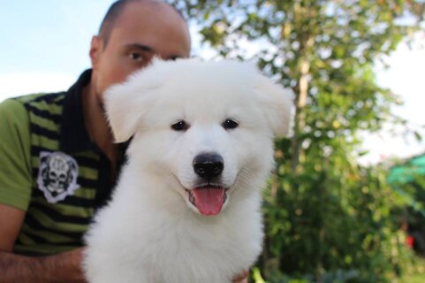 c840292e-7560-4bd4-8da4-67175ff4a425 c840292e-7560-4bd4-8da4-67175ff4a425