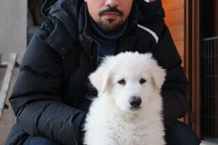 b9f0a025-3ee9-4ab0-9848-a711feb529db