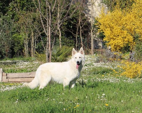 d805b9b1-660c-478a-af44-615aa69f9593