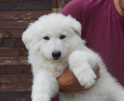 900e67a5-b51d-45f8-a7fd-73315d15f0bd