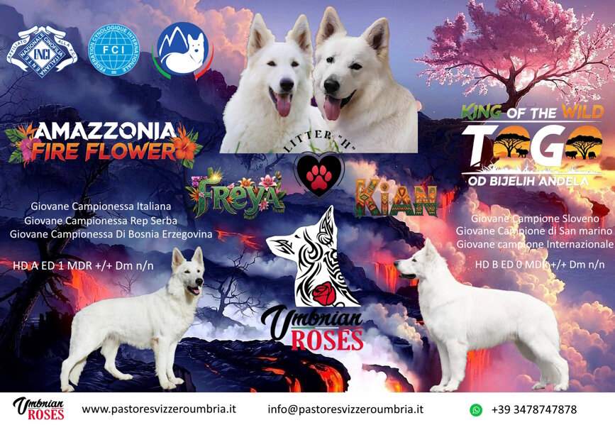 locandina h jepeg.jpeg