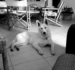 64cec22f-9ead-41d9-8407-95f3c776bf95