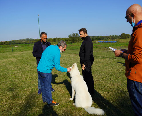 Lettura Chip e presentazione giudice Lettura Chip e presentazione giudice