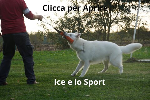 32c7b252-40c0-417b-94d0-625d9e4fbe88