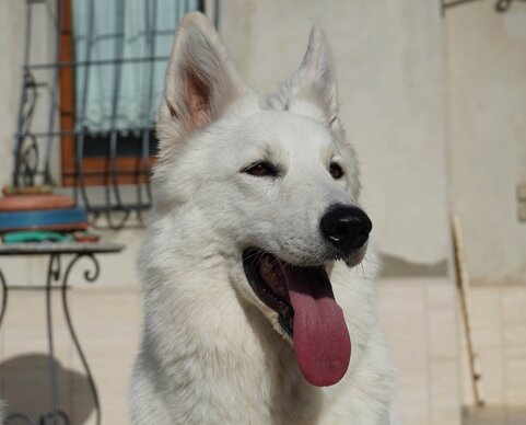 1e3f8b03-de16-4210-beb2-59a9166aaf99