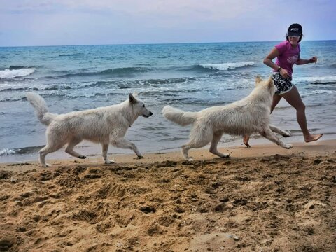 e49e8343-37d3-4e23-bc8b-ca05dffd4cb5