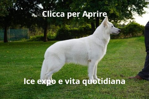 3abf6260-6254-4ec9-bdb3-23a82a09b8bf