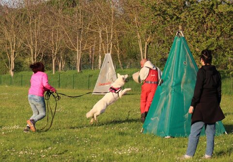 88fcebe1-bac0-4efb-a643-325f9a90a436