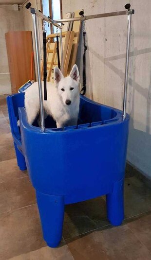 0e4ad57a-c92b-4520-a10e-6b67c96143ed