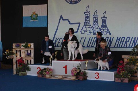 ec0def7b-a23b-492b-a5fe-3a5164eebd38