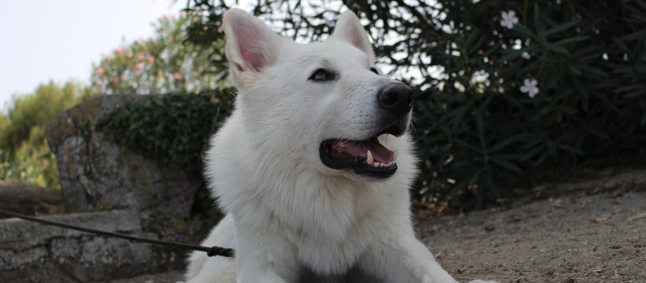 6b922c58-6885-4f10-9a28-8605ebe8aed5.jpg 6b922c58-6885-4f10-9a28-8605ebe8aed5.jpg