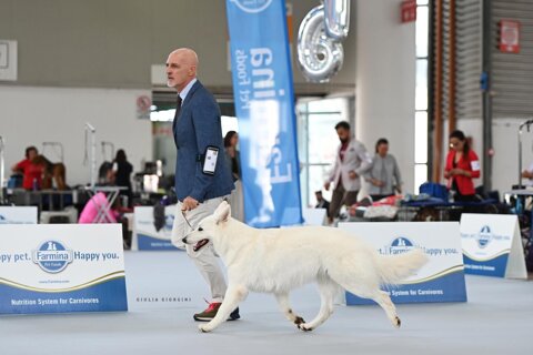 e72b9347-4955-4110-8663-3694b26310f9