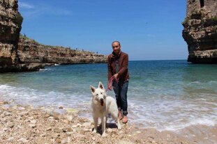 8aa8e782-221a-4015-8ecf-0e4d71d45aea