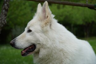 1446d73f-bae2-4d56-83e4-f1bde66d71f0