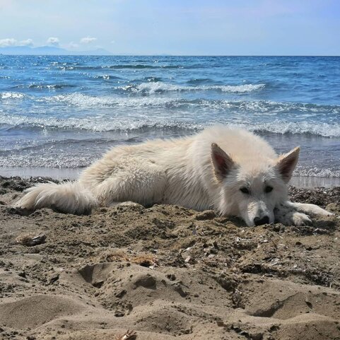 64f5b43e-27ef-4e2a-a0f2-cd1b1f69c243