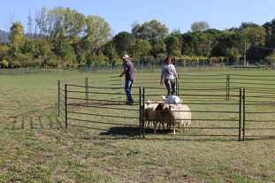 632dd947-fa8d-4b88-afb1-ac74a2759c6f