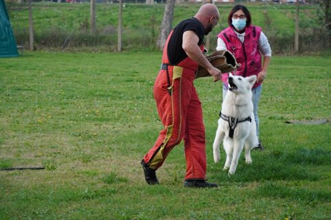 196450e1-858b-4b95-b015-c7dea0626d1e 196450e1-858b-4b95-b015-c7dea0626d1e