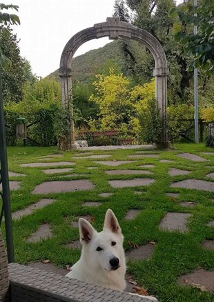 f5226df3-44f9-4f67-9c0e-ac0f9016ea8a